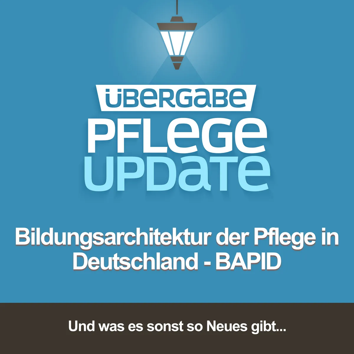 Bildungsarchitektur der Pflege in Deutschland - BAPID
