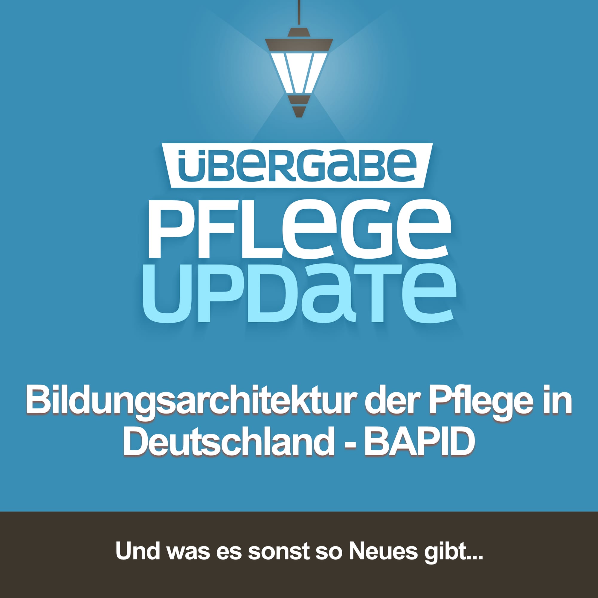 Bildungsarchitektur der Pflege in Deutschland - BAPID